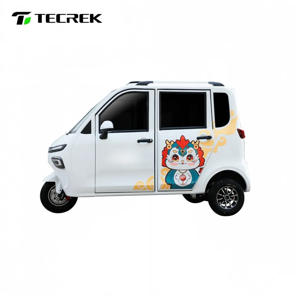 Eco Friendly Tricycle factory