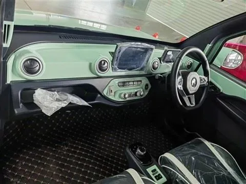 Electric Two Doors Mini Car