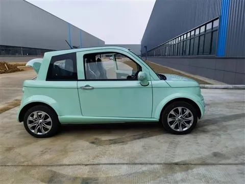 Electric Two Doors Mini Car
