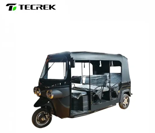 Eco Friendly Electric Rickshaw Vehicle with 60V 4000W motor Eco Friendly Electric Rickshaw Vehicle with 60V 4000W motor